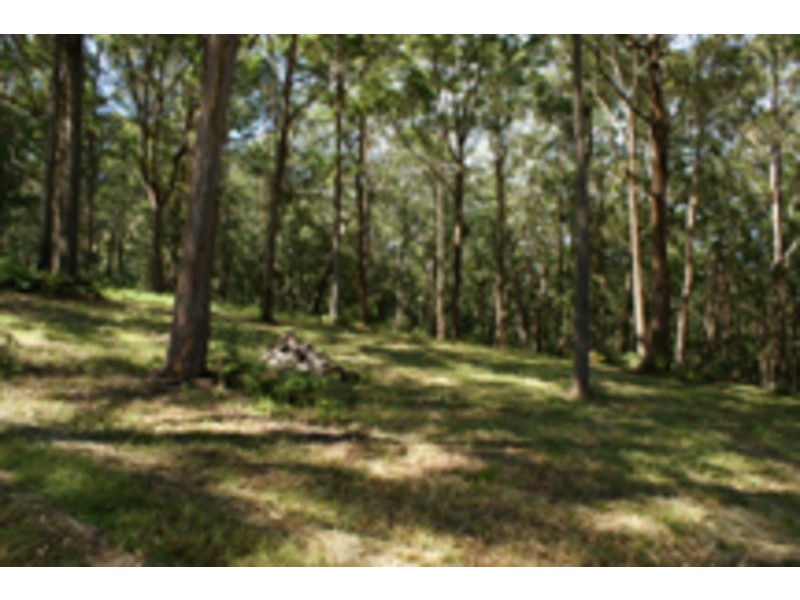Coopernook NSW 2426
