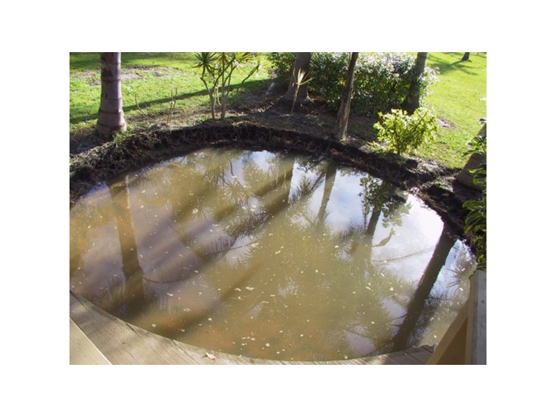 91 Manning Point Road, Manning Point NSW 2430