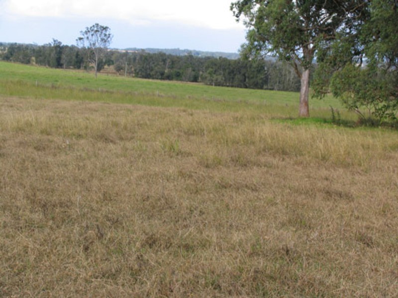 24 McDonell Street, Cundletown NSW 2430