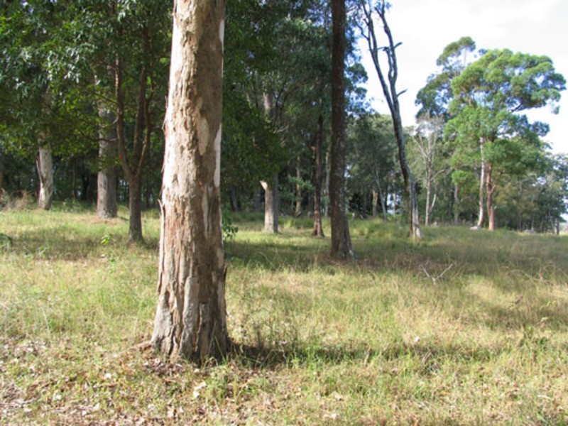 24 McDonell Street, Cundletown NSW 2430