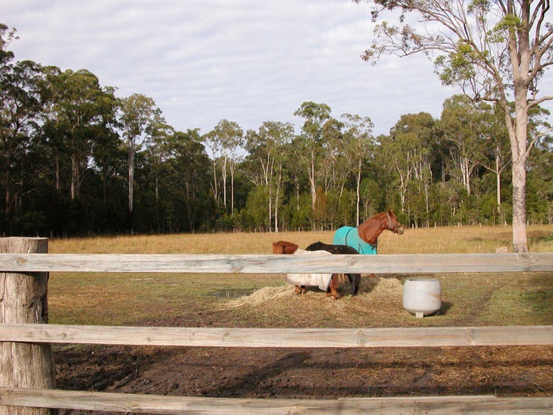 Lansdowne NSW 2430