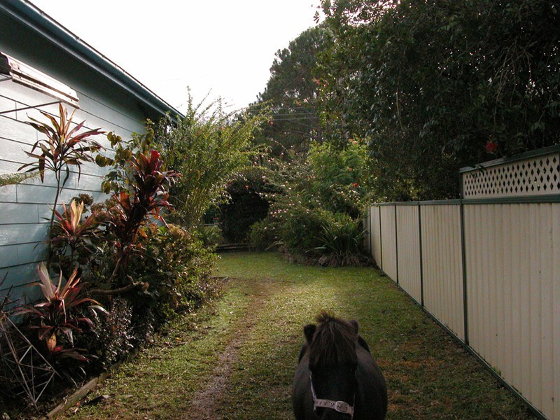 Lansdowne NSW 2430