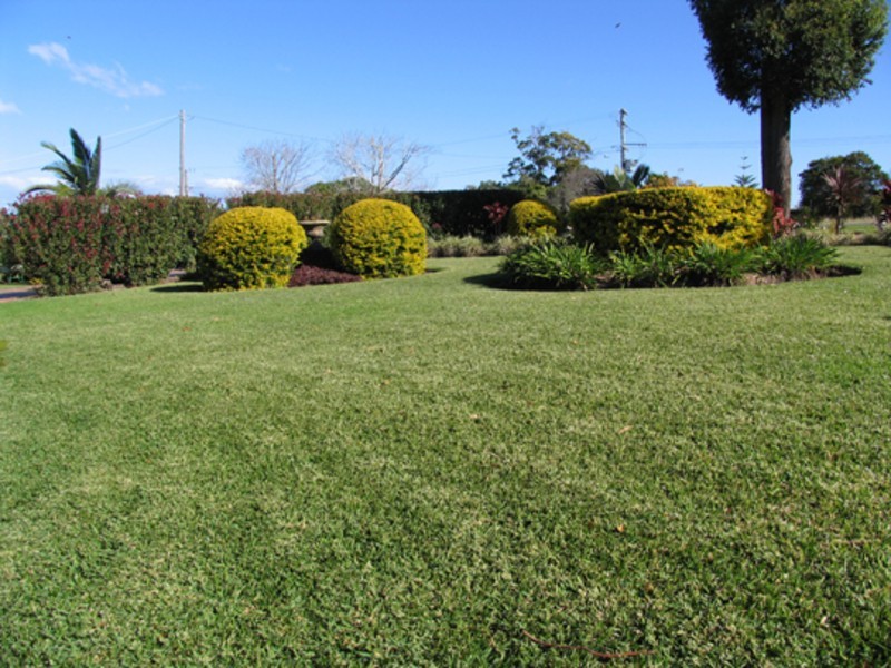 Moorland NSW 2443