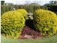 Moorland NSW 2443