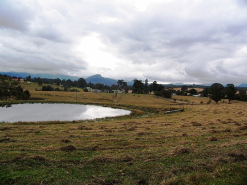 Killabakh NSW 2429
