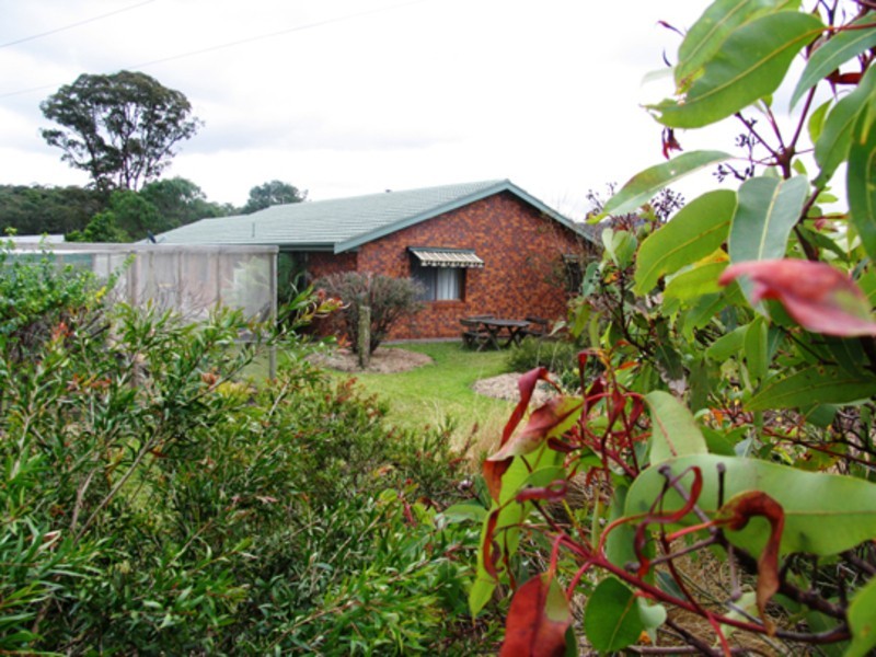 Killabakh NSW 2429