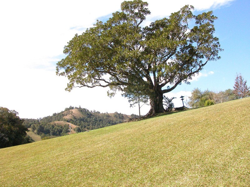 Upper Lansdowne NSW 2430