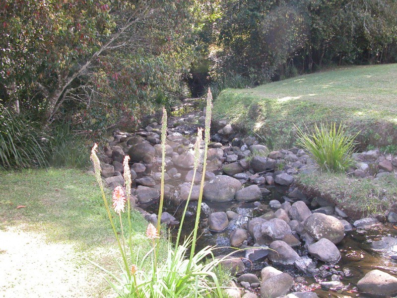 Upper Lansdowne NSW 2430