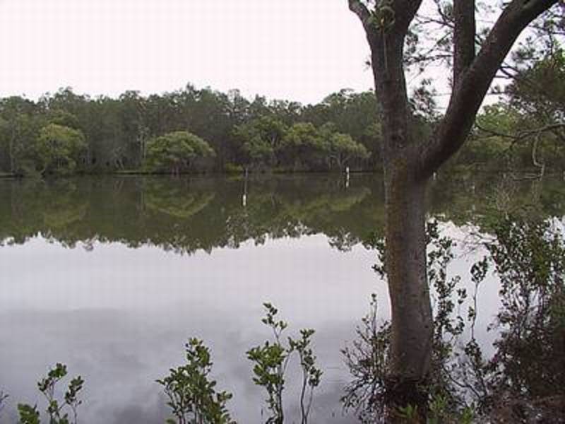 Bohnock NSW 2430
