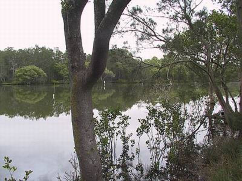 Bohnock NSW 2430