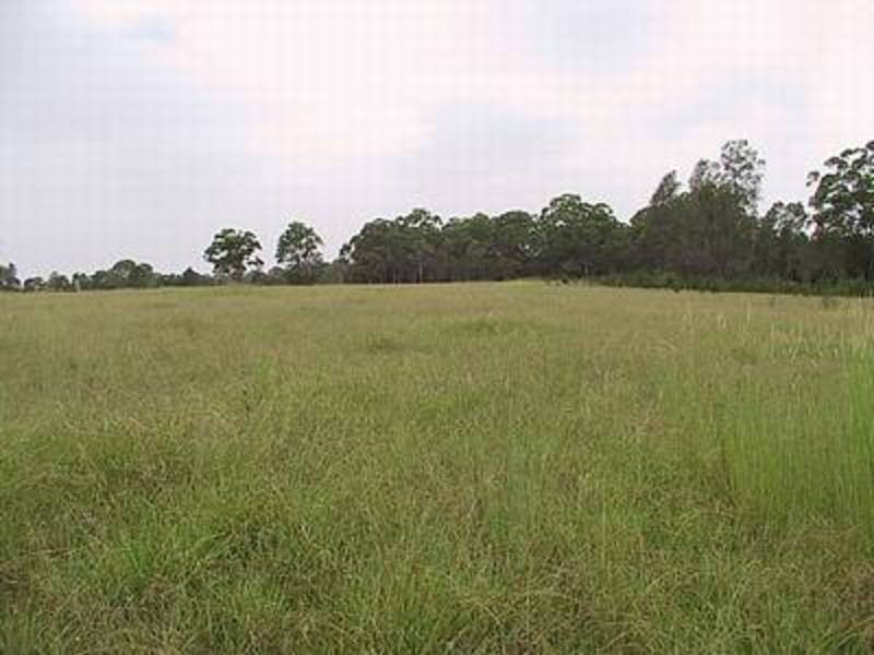 Bohnock NSW 2430
