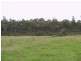 Bohnock NSW 2430