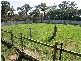 Woongarrah NSW 2259