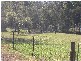 Woongarrah NSW 2259
