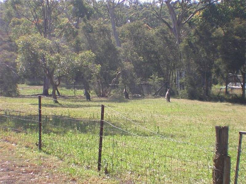 Woongarrah NSW 2259