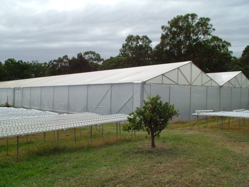 Woongarrah NSW 2259