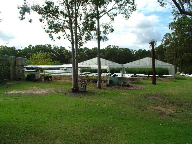 Woongarrah NSW 2259
