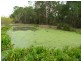 Woongarrah NSW 2259