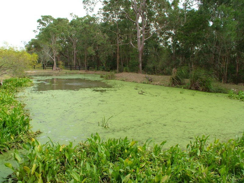 Woongarrah NSW 2259