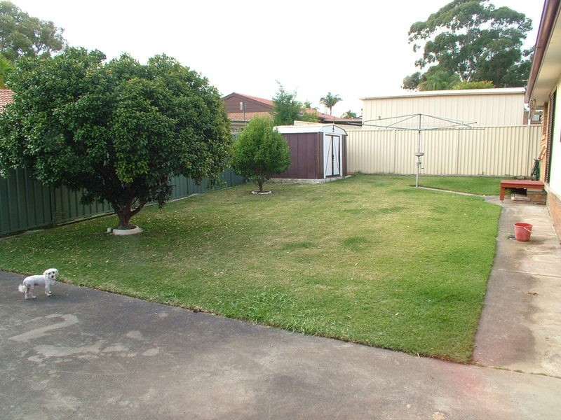 Gorokan NSW 2263