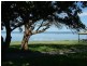 Canton Beach NSW 2263