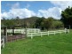 Jilliby NSW 2259