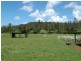 Jilliby NSW 2259