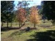 Jilliby NSW 2259