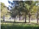 Jilliby NSW 2259