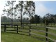 Jilliby NSW 2259