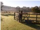 Jilliby NSW 2259