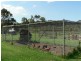 Jilliby NSW 2259