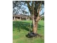Jilliby NSW 2259
