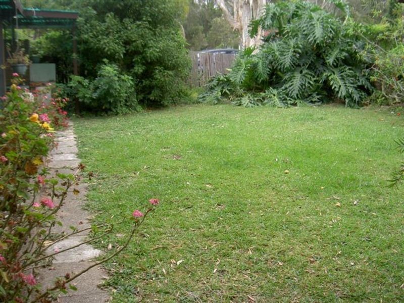 Buff Point NSW 2262