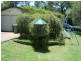 Lake Munmorah NSW 2259