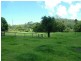 Ourimbah NSW 2258