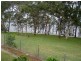 Buff Point NSW 2262