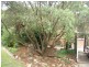 Buff Point NSW 2262