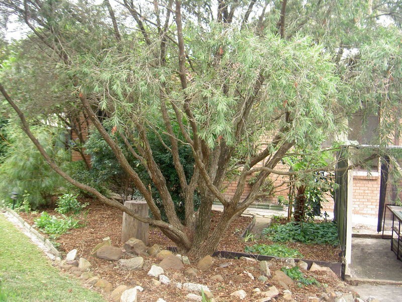 Buff Point NSW 2262