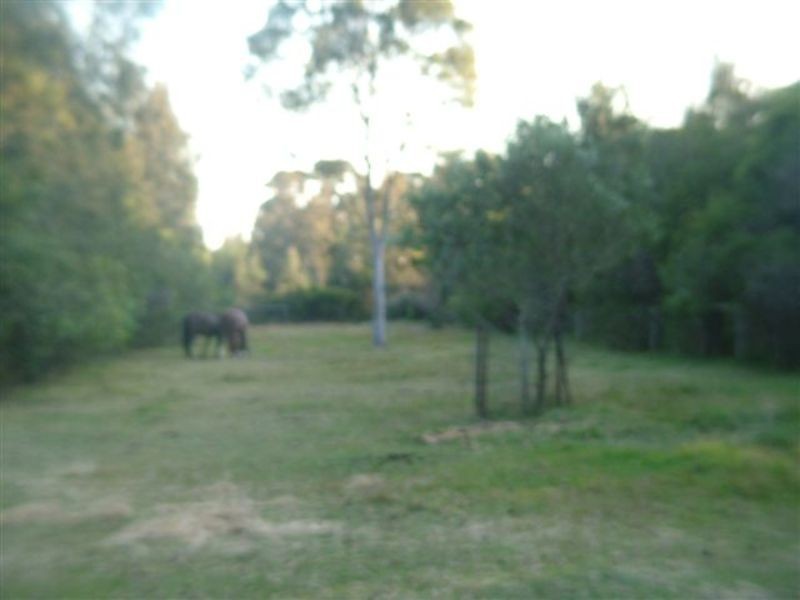 Tacoma South NSW 2259