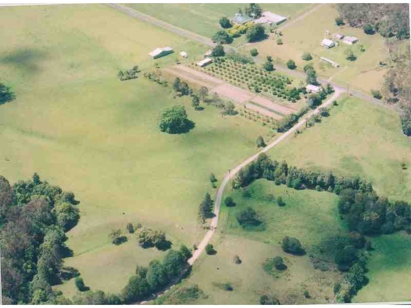 Wyong Creek NSW 2259