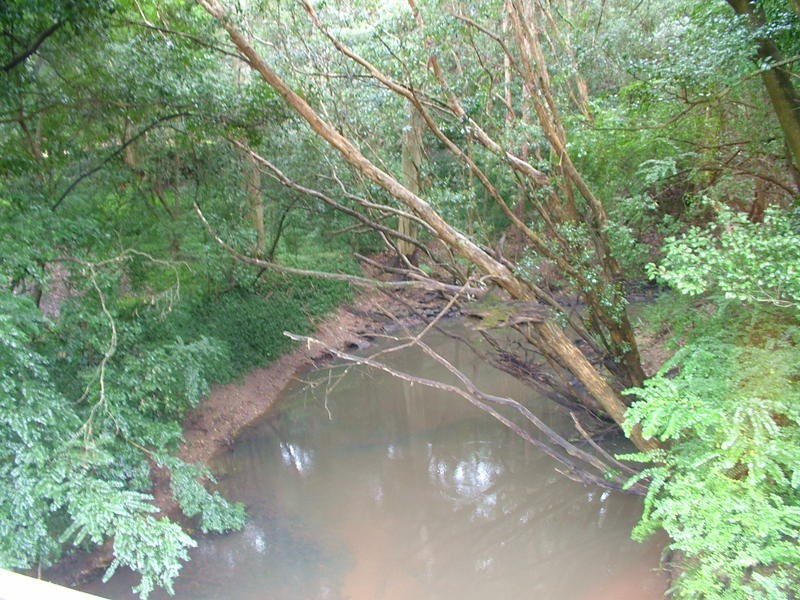 Wyong Creek NSW 2259