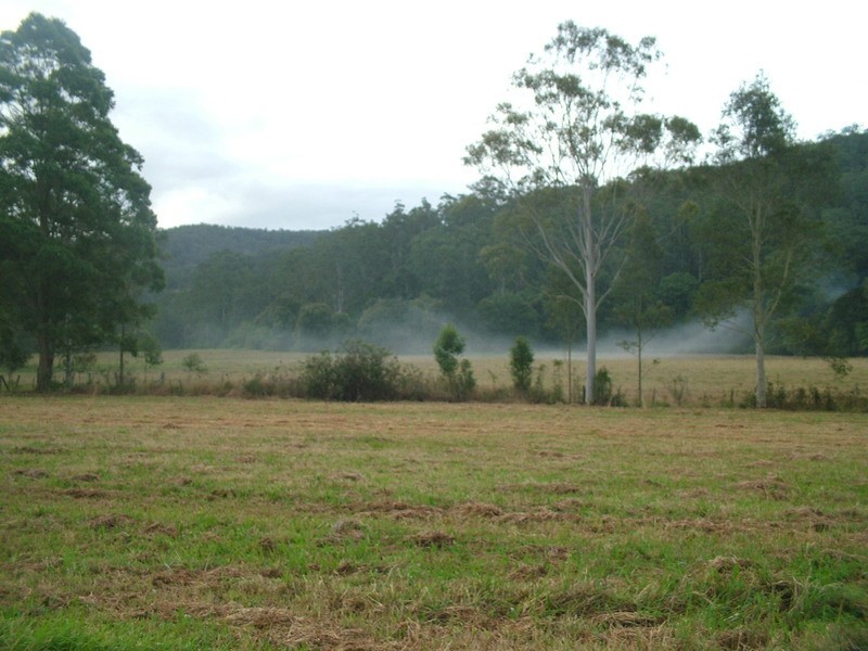 Wyong Creek NSW 2259