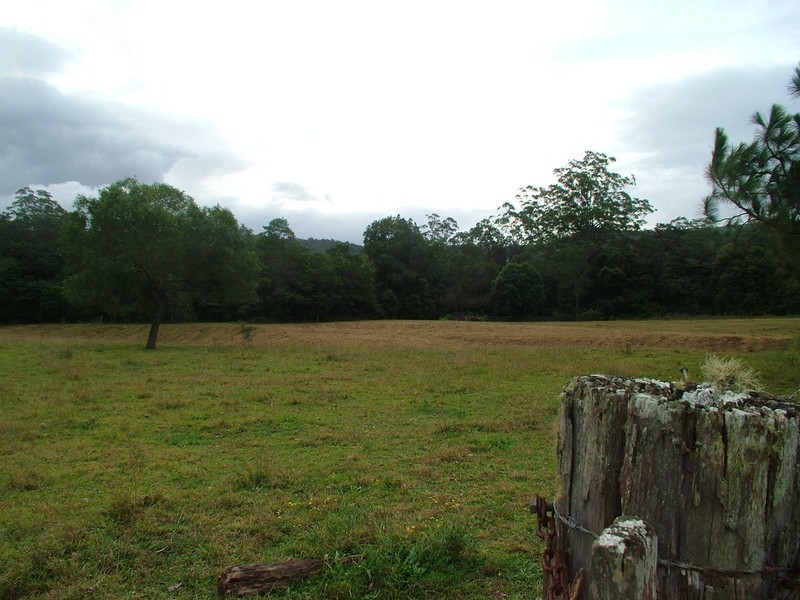 Wyong Creek NSW 2259