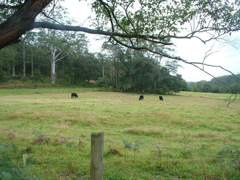 Wyong Creek NSW 2259