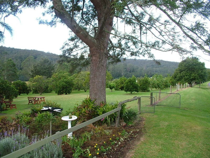 Wyong Creek NSW 2259