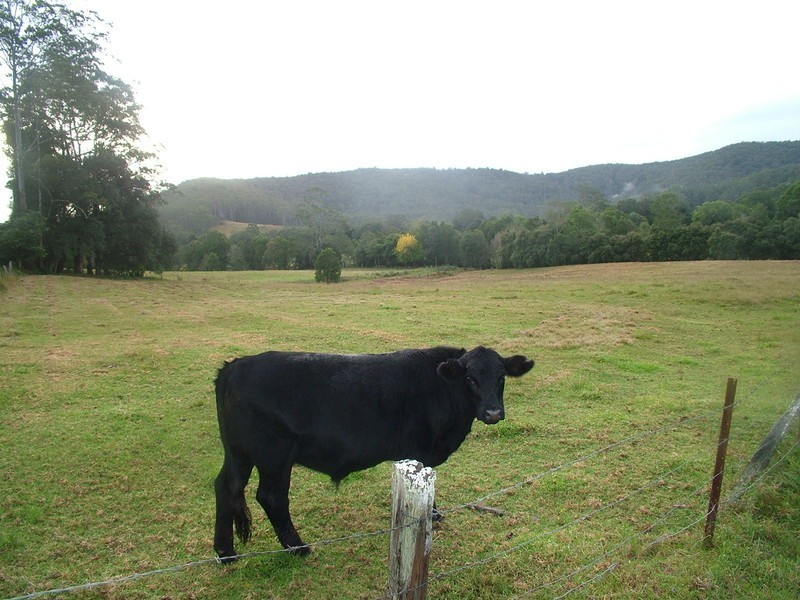 Wyong Creek NSW 2259