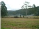 Wyong Creek NSW 2259