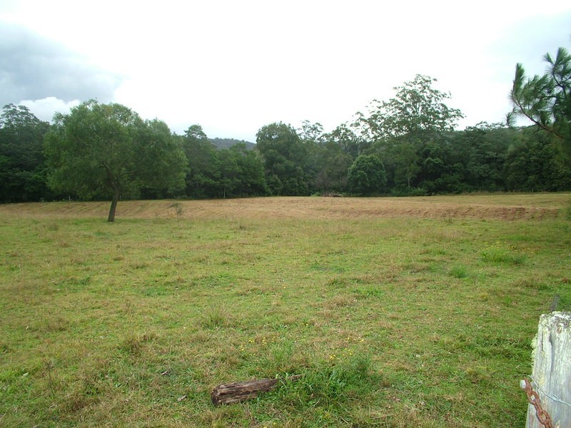 Wyong Creek NSW 2259