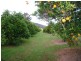 Wyong Creek NSW 2259
